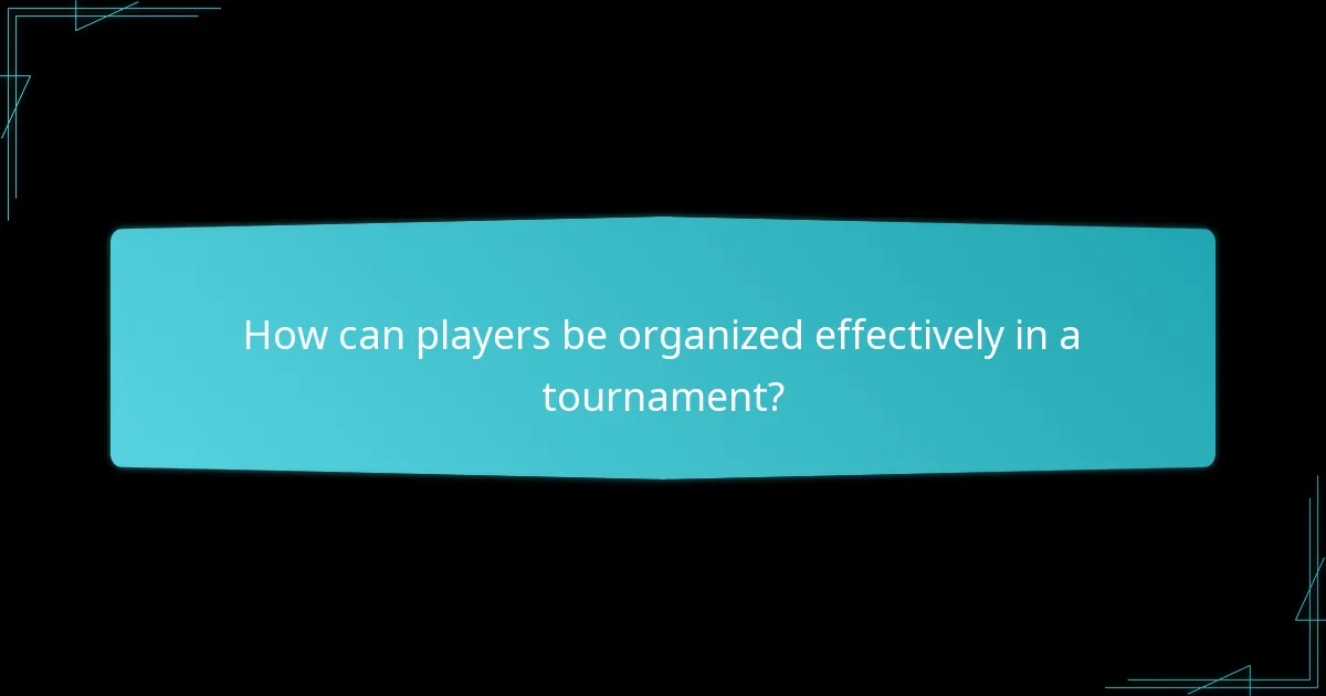 How should resources be distributed among players?